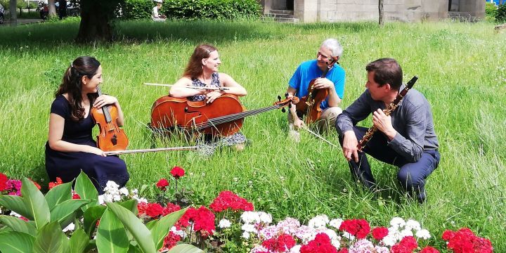 4 Musiker:innen sitzen mit ihren Instrumente auf einer Wiese