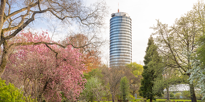 rose Kirschblüten rahmen den Vlick auf den Botanischen Garten Jena und den Jentower ein  ©Steffen Walther