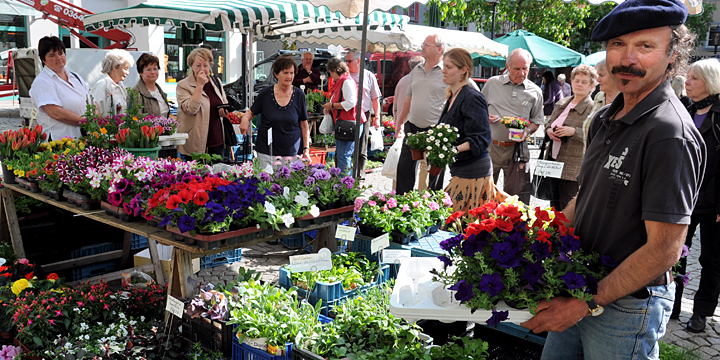 Wochenmarkt8