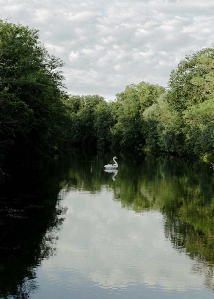 Tretboot-Schwan auf der Saale in Jena