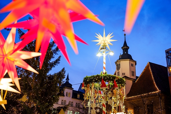 Weihnachtssterne vor dem Rathaus